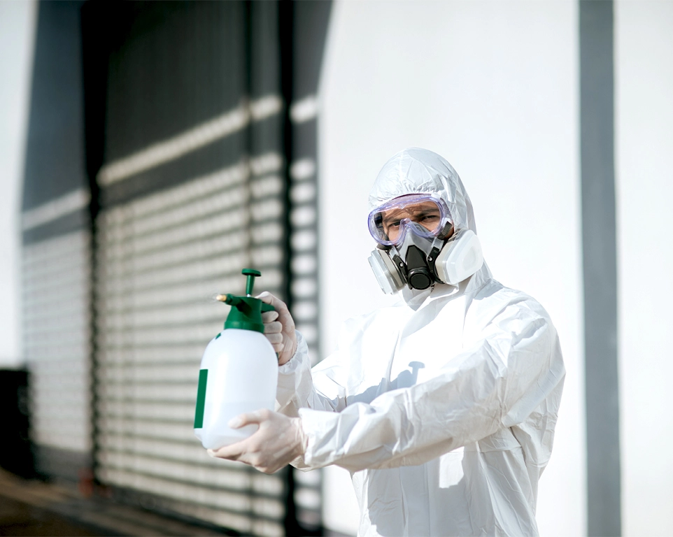 derattizzazione spazi verdi Palermo